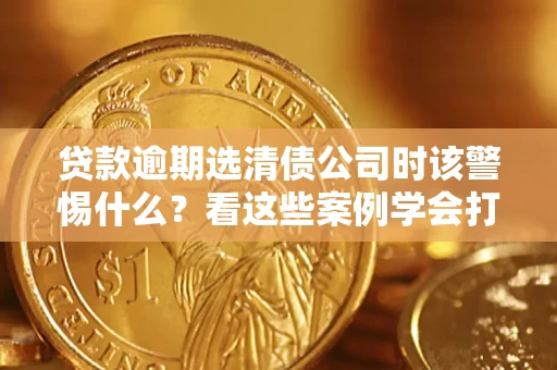 武汉贷款逾期选清债公司时该警惕什么？看这些案例学会打翻身仗