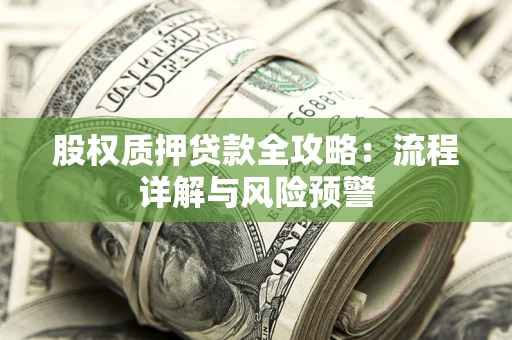 武汉股权质押贷款全攻略：流程详解与风险预警