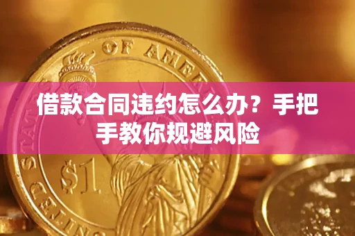 武汉借款合同违约怎么办？手把手教你规避风险