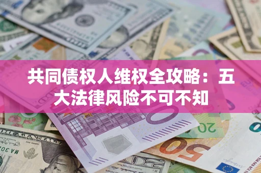 武汉共同债权人维权全攻略：五大法律风险不可不知