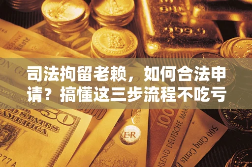 武汉司法拘留老赖，如何合法申请？搞懂这三步流程不吃亏！
