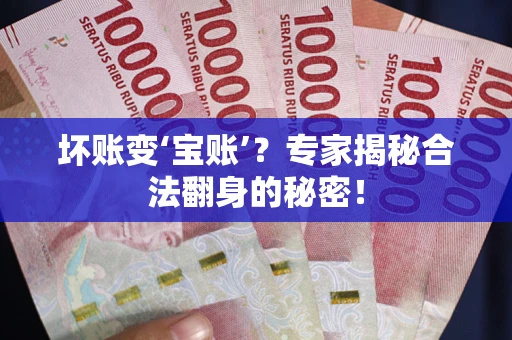 武汉坏账变‘宝账’？专家揭秘合法翻身的秘密！