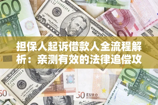 武汉担保人起诉借款人全流程解析：亲测有效的法律追偿攻略