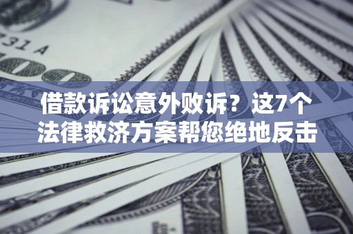 武汉借款诉讼意外败诉？这7个法律救济方案帮您绝地反击！