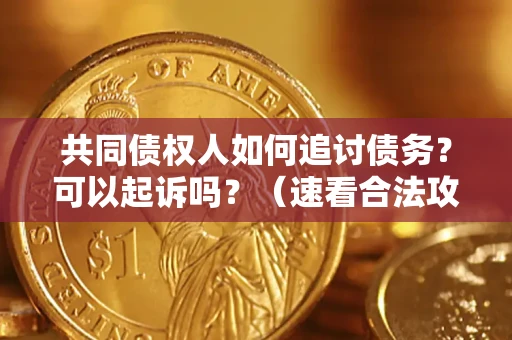武汉共同债权人如何追讨债务？可以起诉吗？（速看合法攻略）