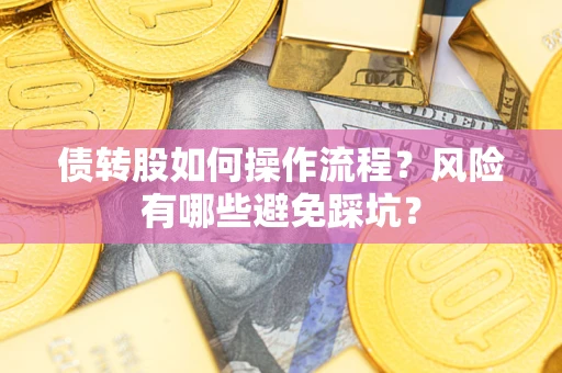武汉债转股如何操作流程?风险有哪些避免踩坑? 武汉债转股如何操作流程?风险有哪些避免踩坑?