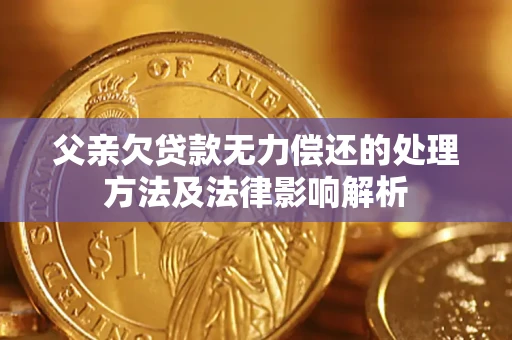 武汉父亲欠贷款无力偿还的处理方法及法律影响解析