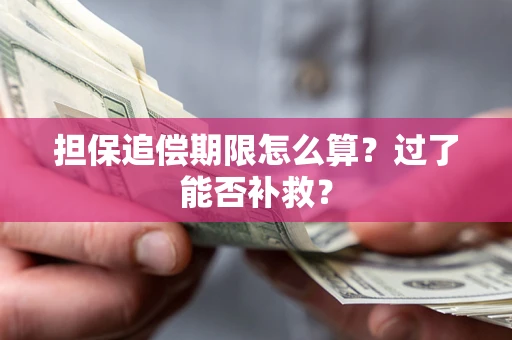 武汉担保追偿期限怎么算？过了能否补救？